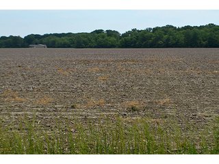 Property photo 41 - FARM & LAND AUCTION - 125+/- ACRES OFFERED IN 5 TRACTS IN EAST ALLEN COUNTY, INDIANA